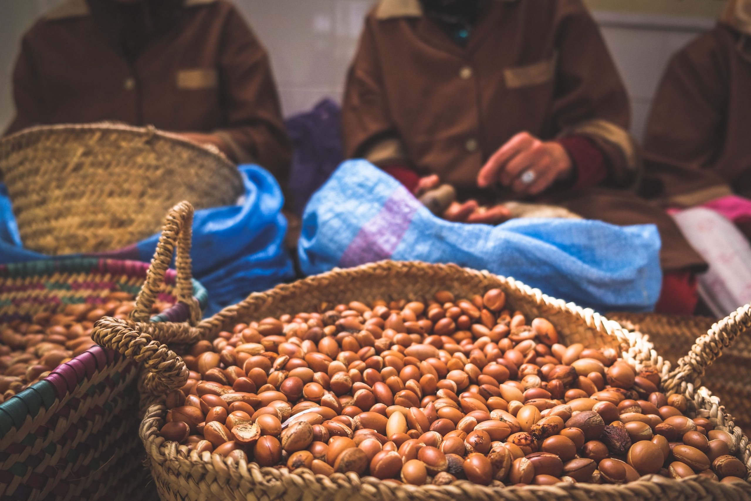 Beyond the Waves: The Women of Morocco’s Argan Cooperatives